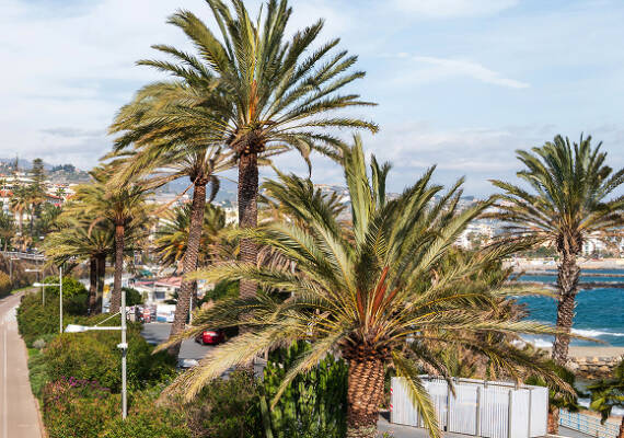 Imagen del centro de Salou