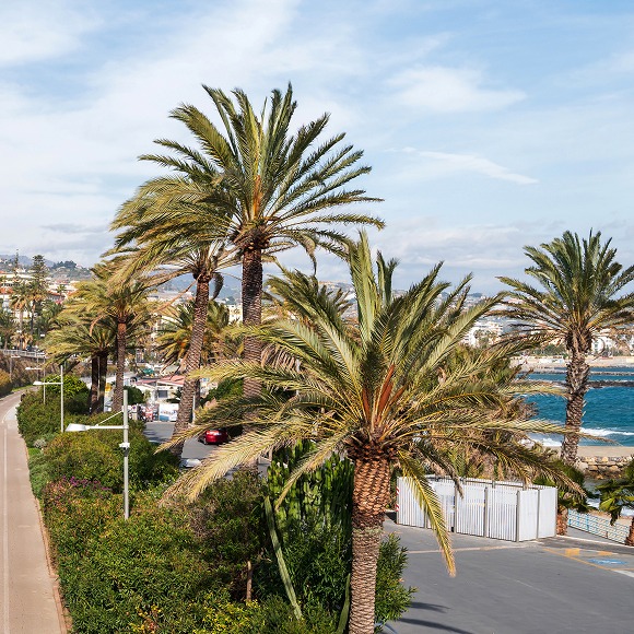 Imagen del centro de Salou