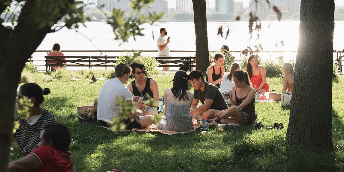 Grupo de amigos haciendo un picnic